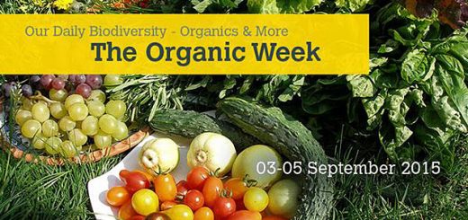 The organic week 3-5 settembre 2015
