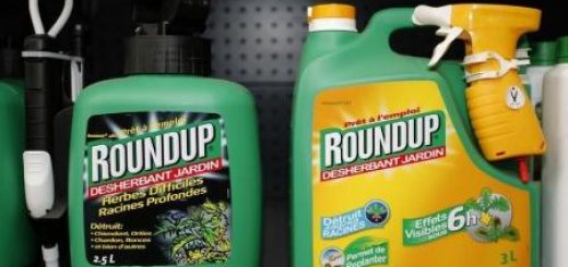 Roundup Monsanto - erbicidi glifosato